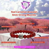 Red Carnelian Bracelet- 8MM Strong Muscles