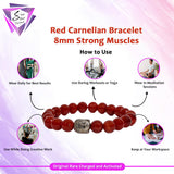 Red Carnelian Bracelet- 8MM Strong Muscles