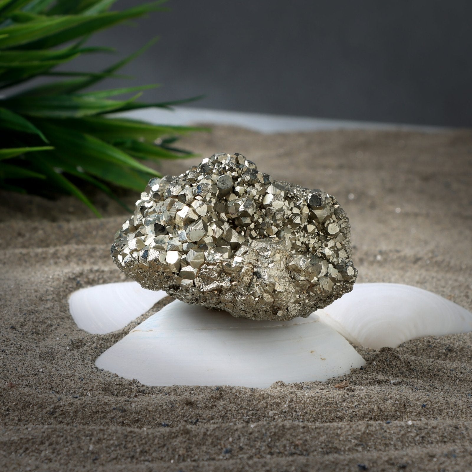 Pyrite Cluster- Money Magnet