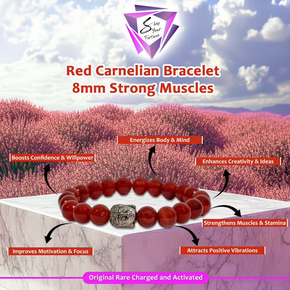 Red Carnelian Bracelet- 8MM Strong Muscles